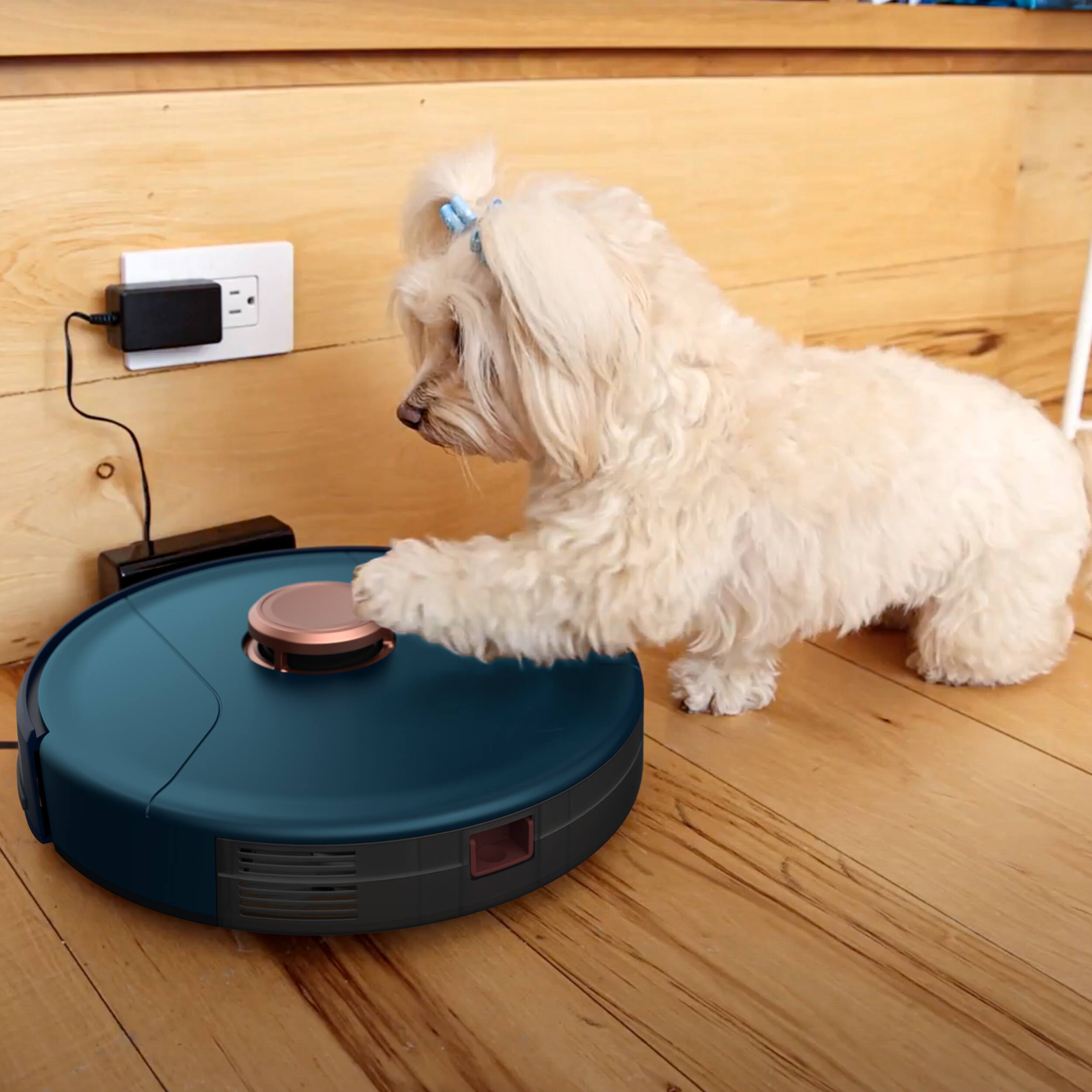 bObsweep - PetHair SLAM Wi-Fi Connected Robot Vacuum Cleaner, Phoenix - Midnight - Image 6