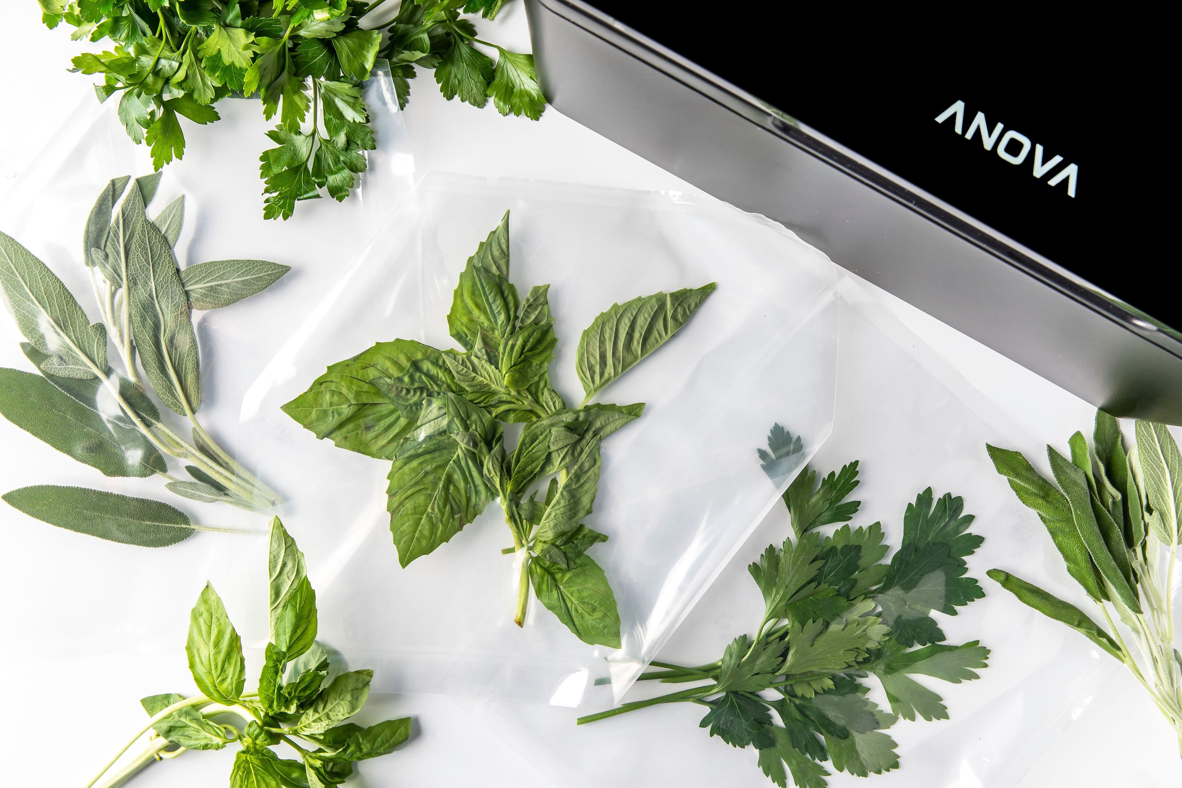 Anova - Precision Chamber Vacuum Sealer - Black - Image 9